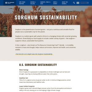 Screenshot of the U.S. Grains' Sorghum Sustainability page.